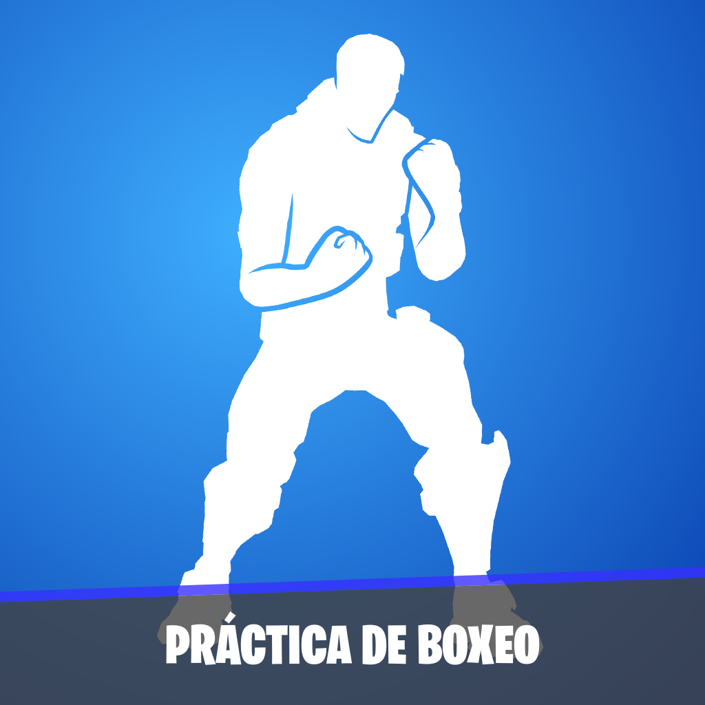 Práctica de boxeo